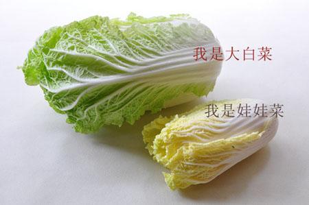 娃娃菜就是大白菜