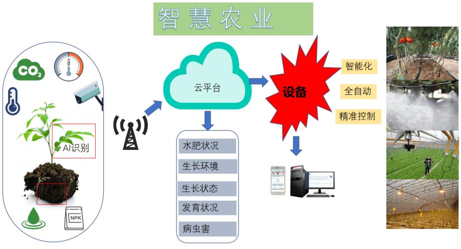 智慧农业在农业上的应用(智慧农业中应用的技术)