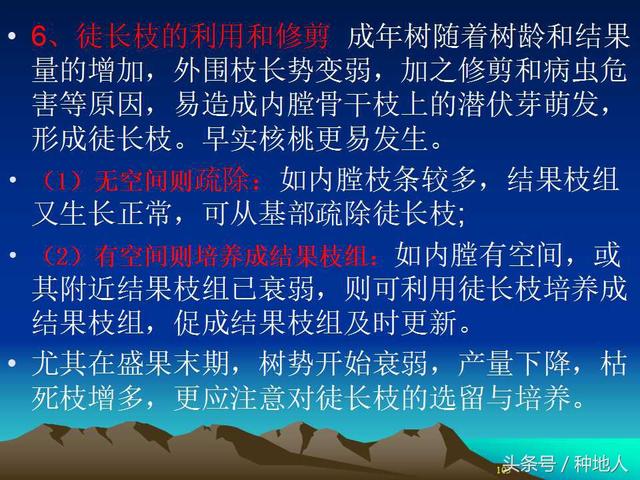 核桃整形修剪技术图解(树木整形修剪技术图解)