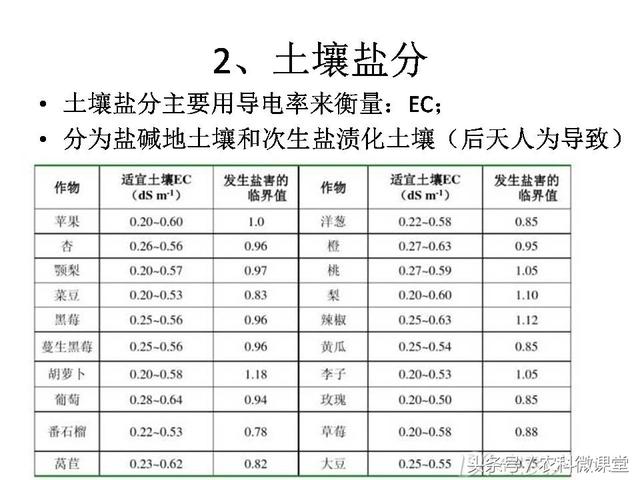 健康的土壤标准