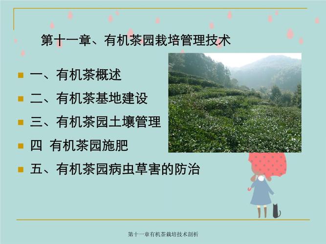 茶叶种植技术培训资料ppT