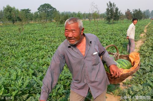 让农民生活的更美好