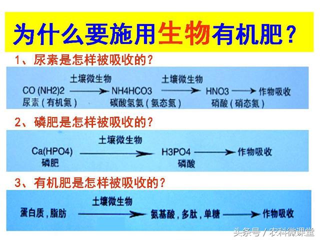 苹果秋冬施肥管理技术(苹果树冬季施肥好.还是来年春季好)