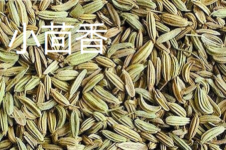 小茴香和孜然的区别(小茴香和孜然是一种调料吗)