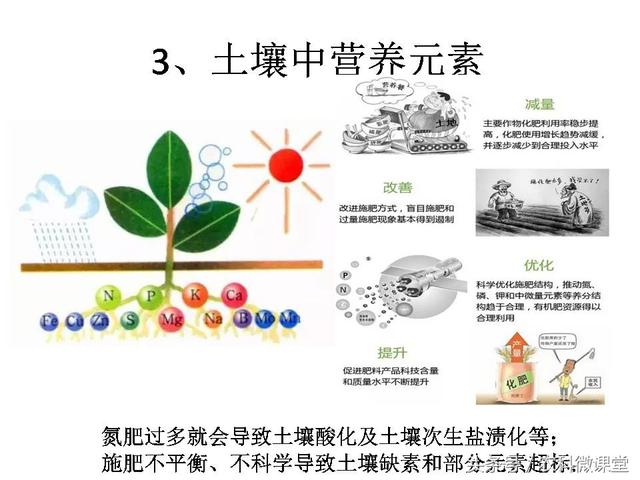 健康的土壤标准