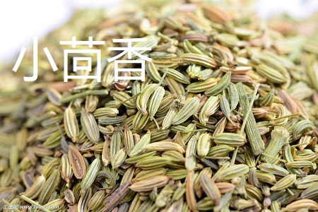 小茴香和孜然的区别(小茴香和孜然是一种调料吗)