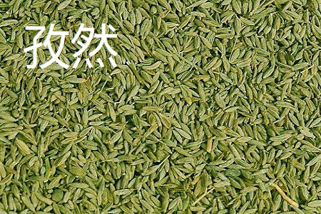 小茴香和孜然的区别(小茴香和孜然是一种调料吗)