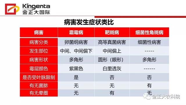 作物病虫害诊断及农药应用基础(农作物病虫害区域应急防治检测中心)