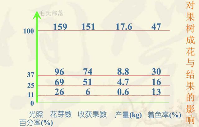 果树与光照的关系(苹果树和光照的关系)