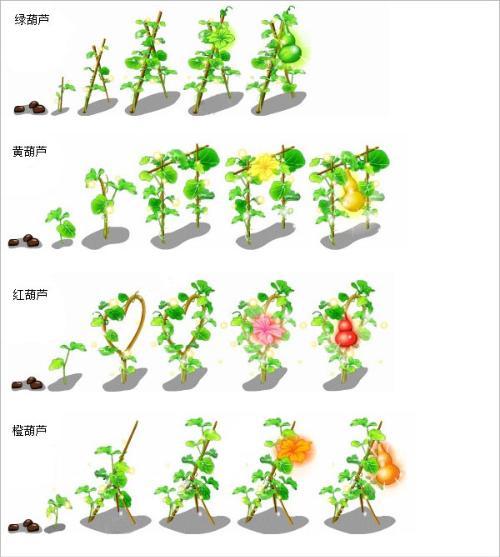 葫芦的生长环境要求