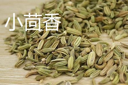 小茴香和孜然的区别(小茴香和孜然是一种调料吗)