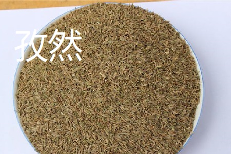 小茴香和孜然的区别(小茴香和孜然是一种调料吗)