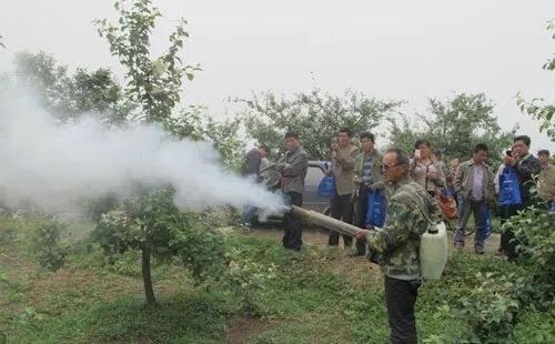 苹果树病虫害防治全年用药推荐(苹果树病虫害防治手册)