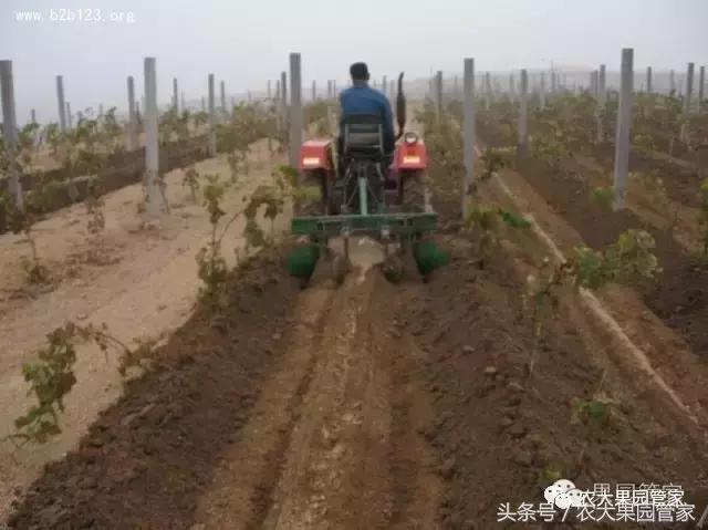 果园土壤管理和平衡施肥(果园土肥水管理技术要点)