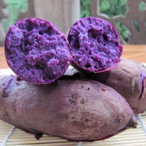 紫土豆的种植技术视频