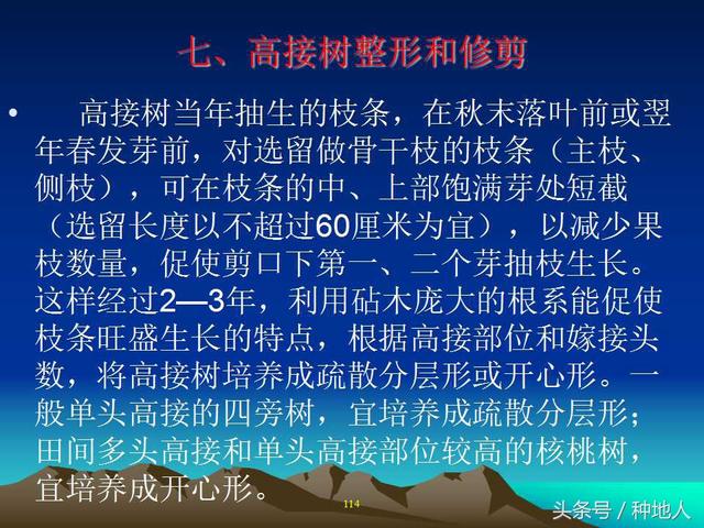 核桃整形修剪技术图解(树木整形修剪技术图解)