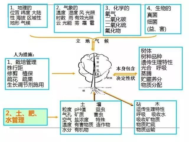 果园土壤的管理(果园土壤优缺点)