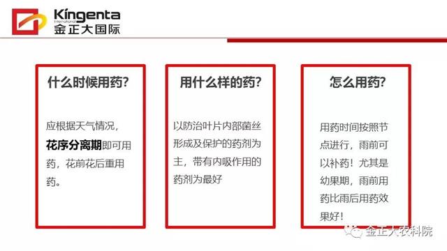 作物病虫害诊断及农药应用基础