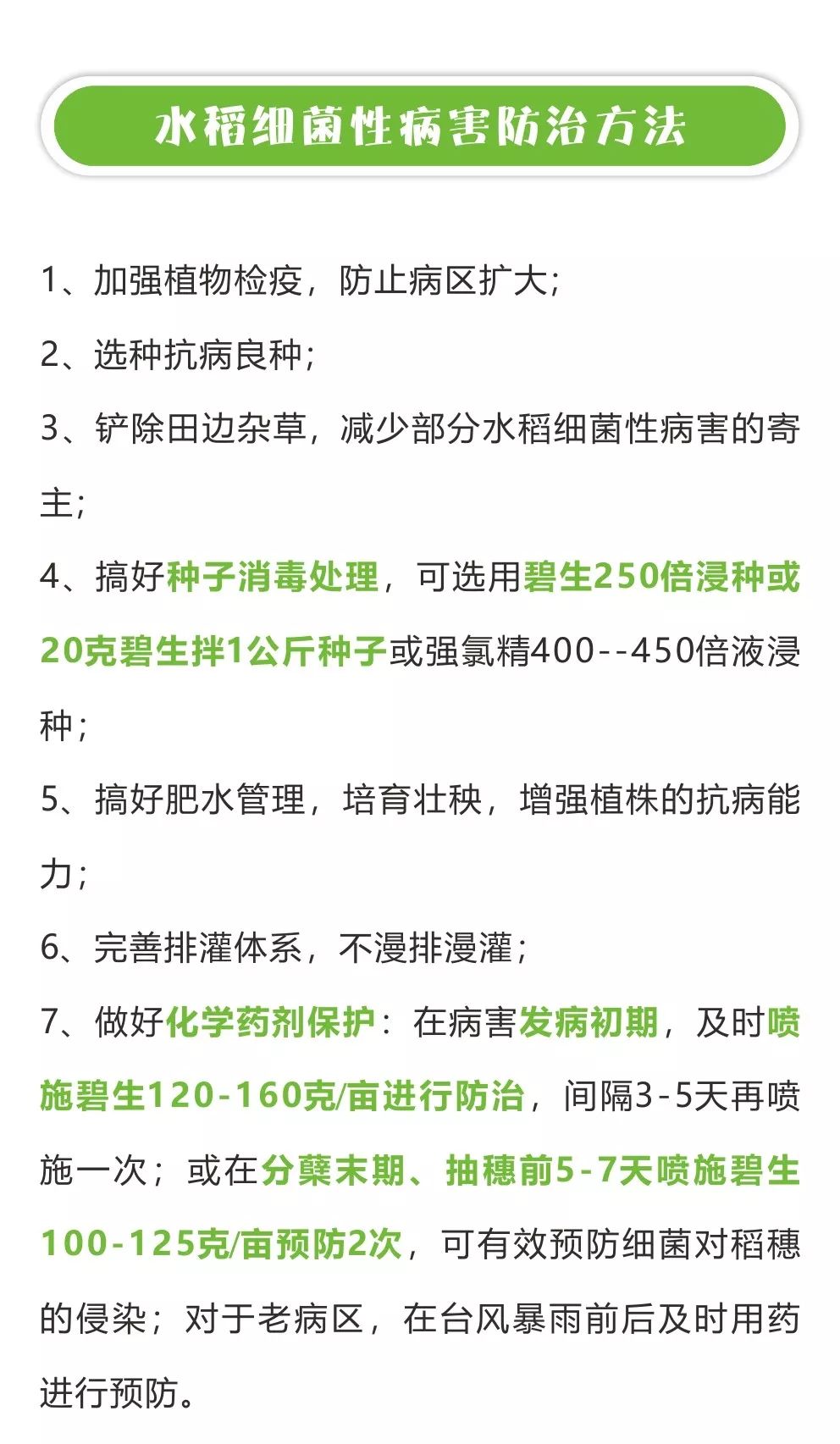 水稻细菌性病害小知识 发病初期准确判断很关键