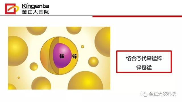 作物病虫害诊断及农药应用基础