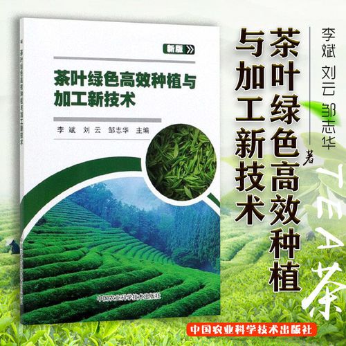 茶叶种植管理技术第一讲(茶叶种植成本一亩多少钱)