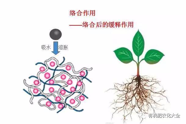 黄腐酸的作用(矿源黄腐酸的功效和作用)