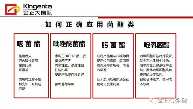 作物病虫害诊断及农药应用基础