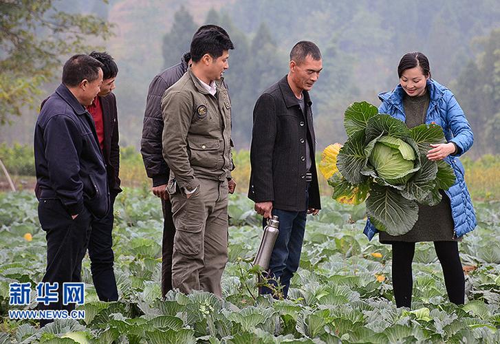 从贫困户到致富带头人 新华网