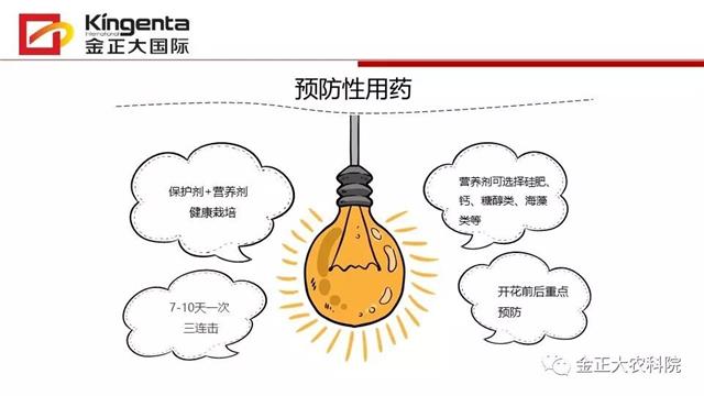 作物病虫害诊断及农药应用基础