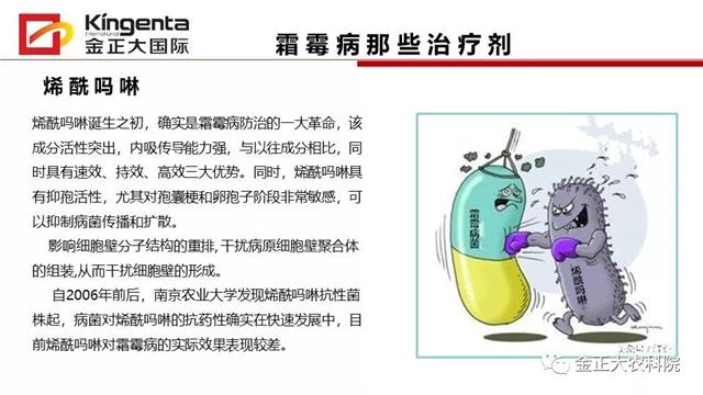 作物病虫害诊断及农药应用基础