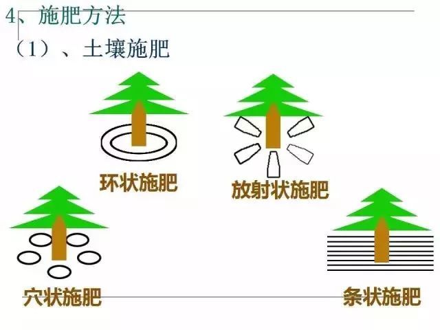 果园土壤的管理(果园土壤优缺点)