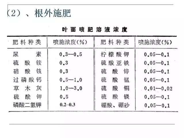 果园土壤的管理(果园土壤优缺点)