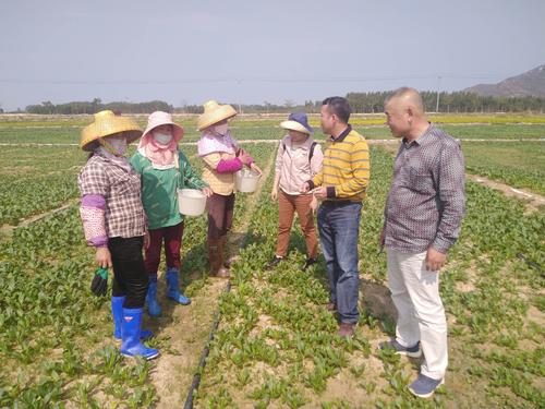 农业种植技术指导技术员(农业种植技术指导员)