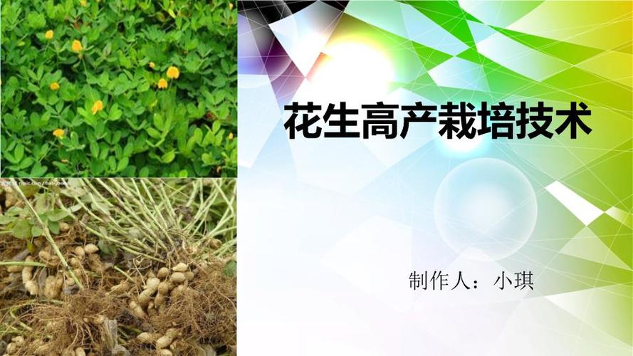 花生种植技术教案(花生种植技术教案中班)