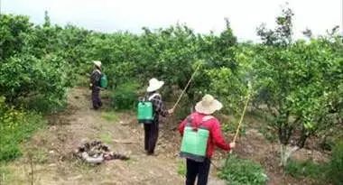 解读果树绿色防控技术，生态防控 物理防治 生物防治