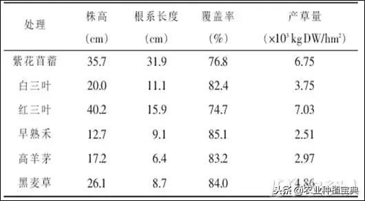 详谈果园种草(庚寅日柱女命详谈另一半)