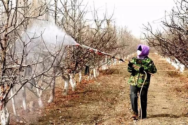 解读果树绿色防控技术，生态防控 物理防治 生物防治