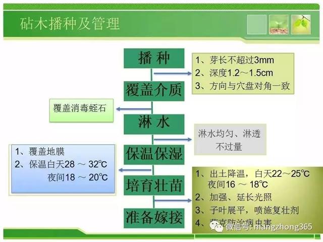 超详细西瓜标准化栽培技术(现在最新西瓜种植技术)