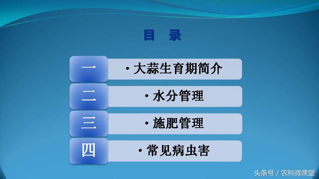 大蒜种植管理技术——专题讲座(大蒜怎么种植)