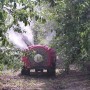 解读果树绿色防控技术，生态防控 物理防治 生物防治