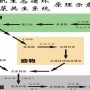 想在沈丘搞个鱼菜共生循环养植可以吗