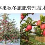 苹果秋冬施肥管理技术(苹果树冬季施肥好.还是来年春季好)