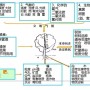 果园管理要点【精简版】(果园夏季管理技术要点)